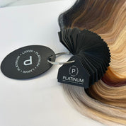 Classic Clip-in Collection (22Inch)