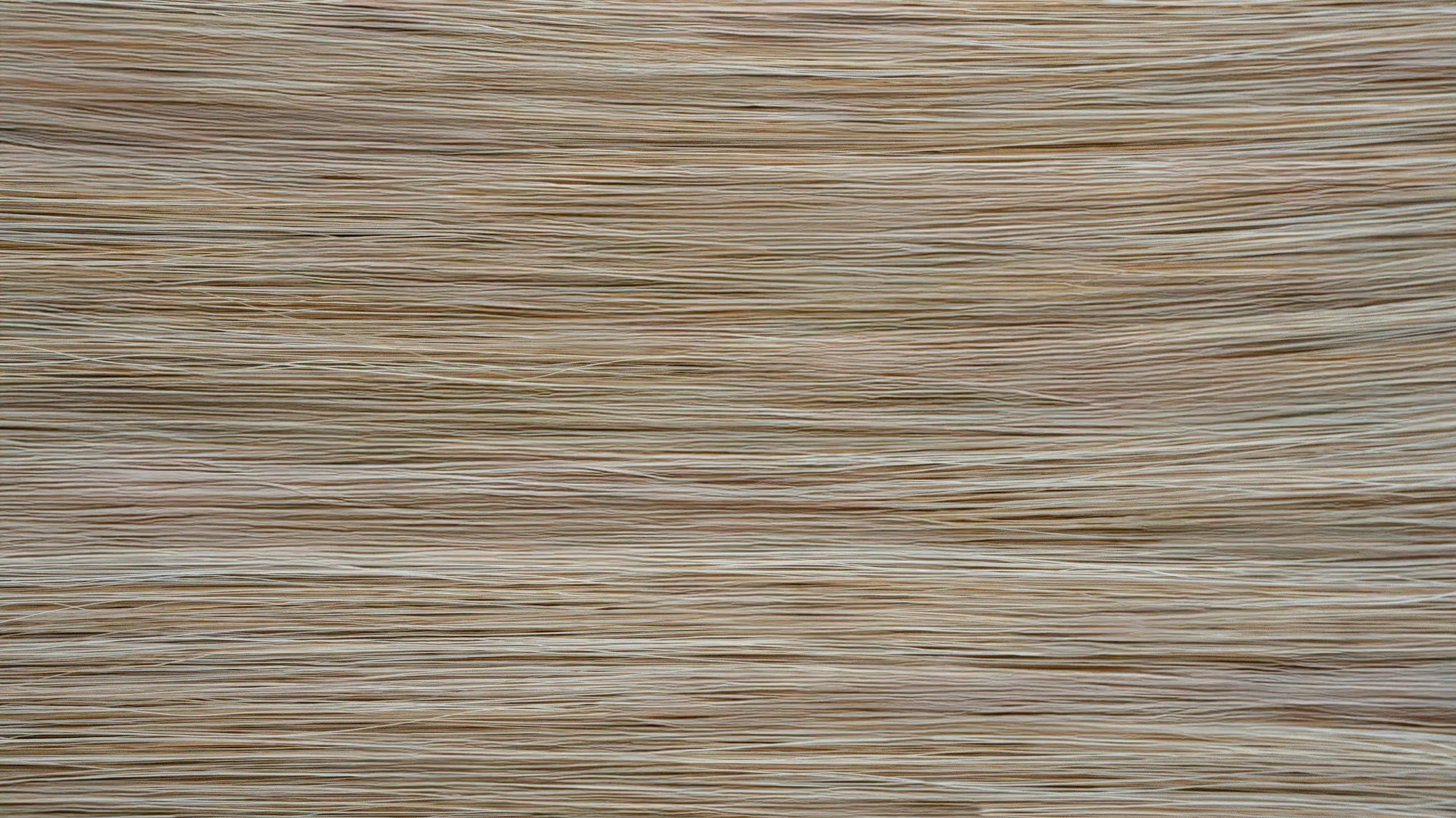 New 2025 - Preen Clip-In Collection