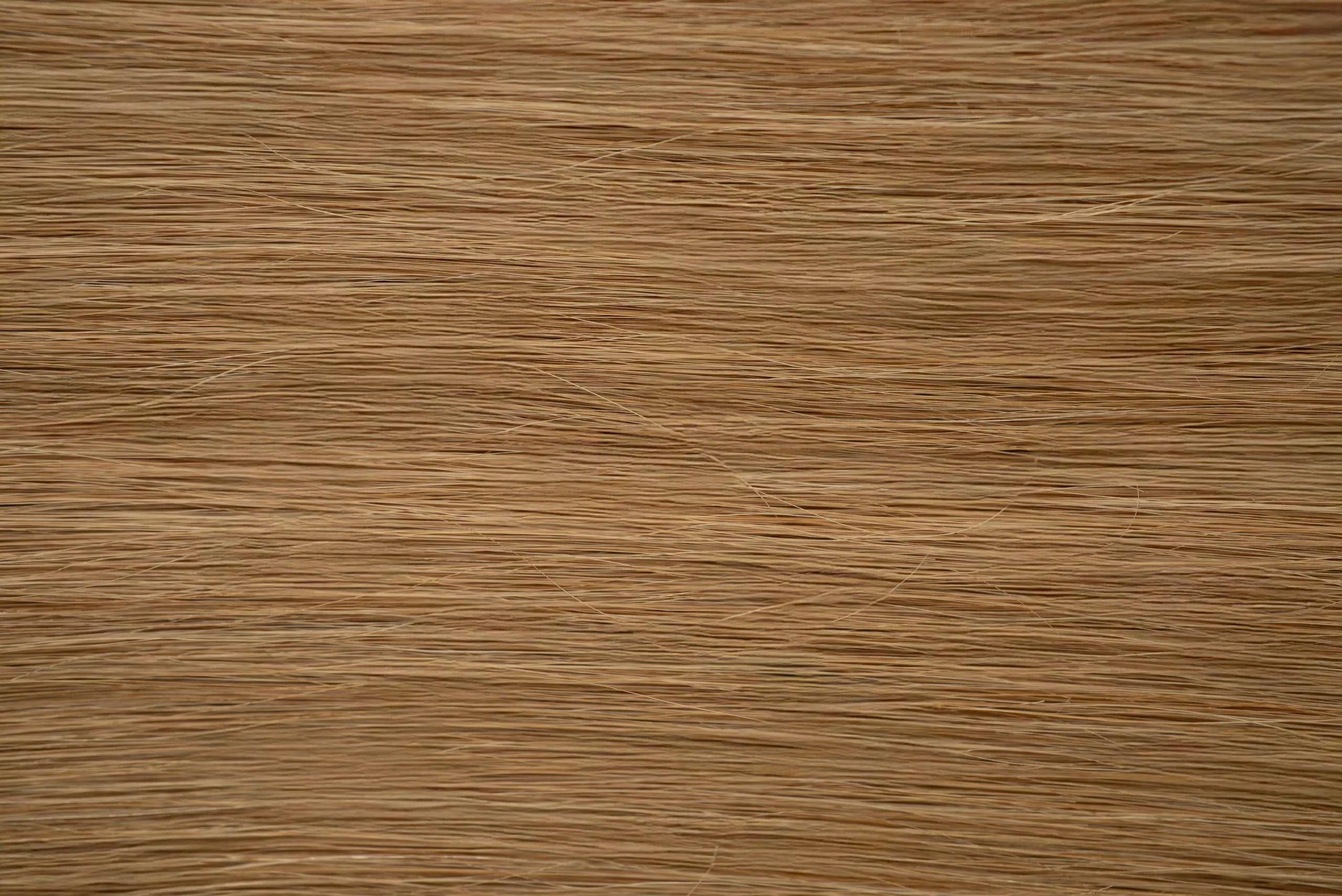 New 2025 - Pro Tapes Collection