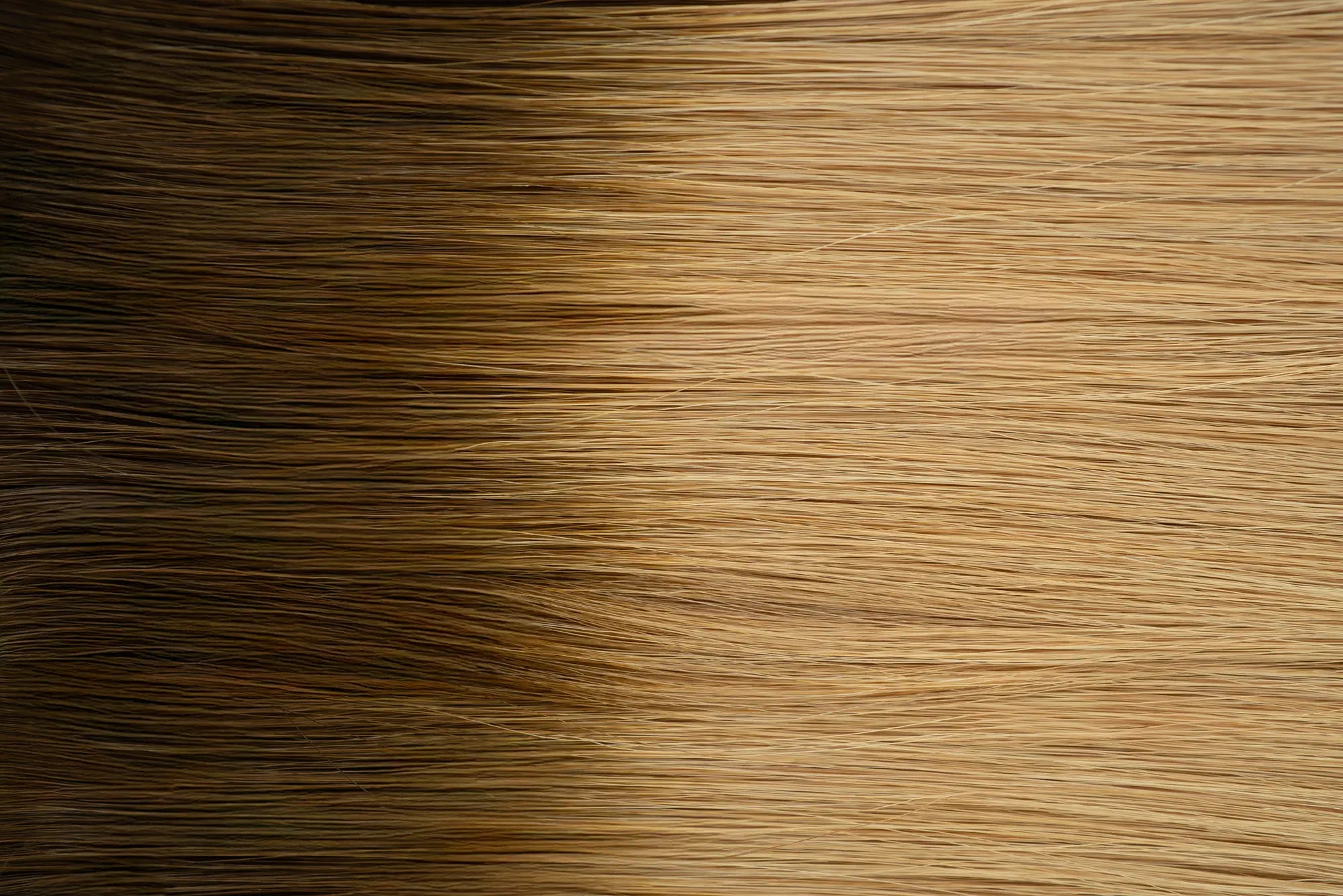 Classic Clip-in Collection (22Inch)