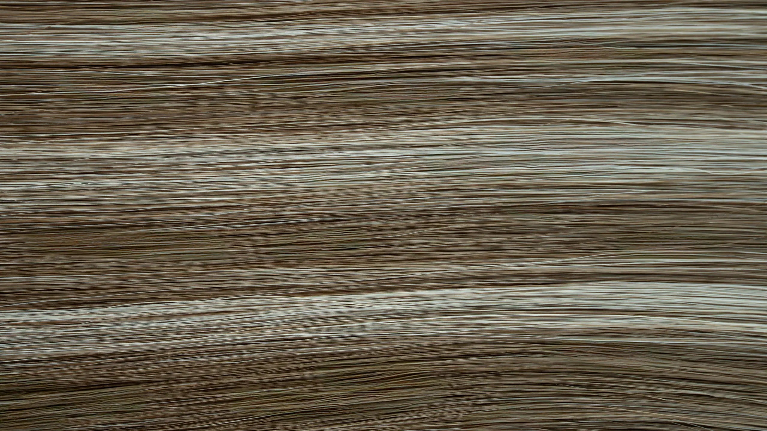 New 2025 - Pro Tapes Collection