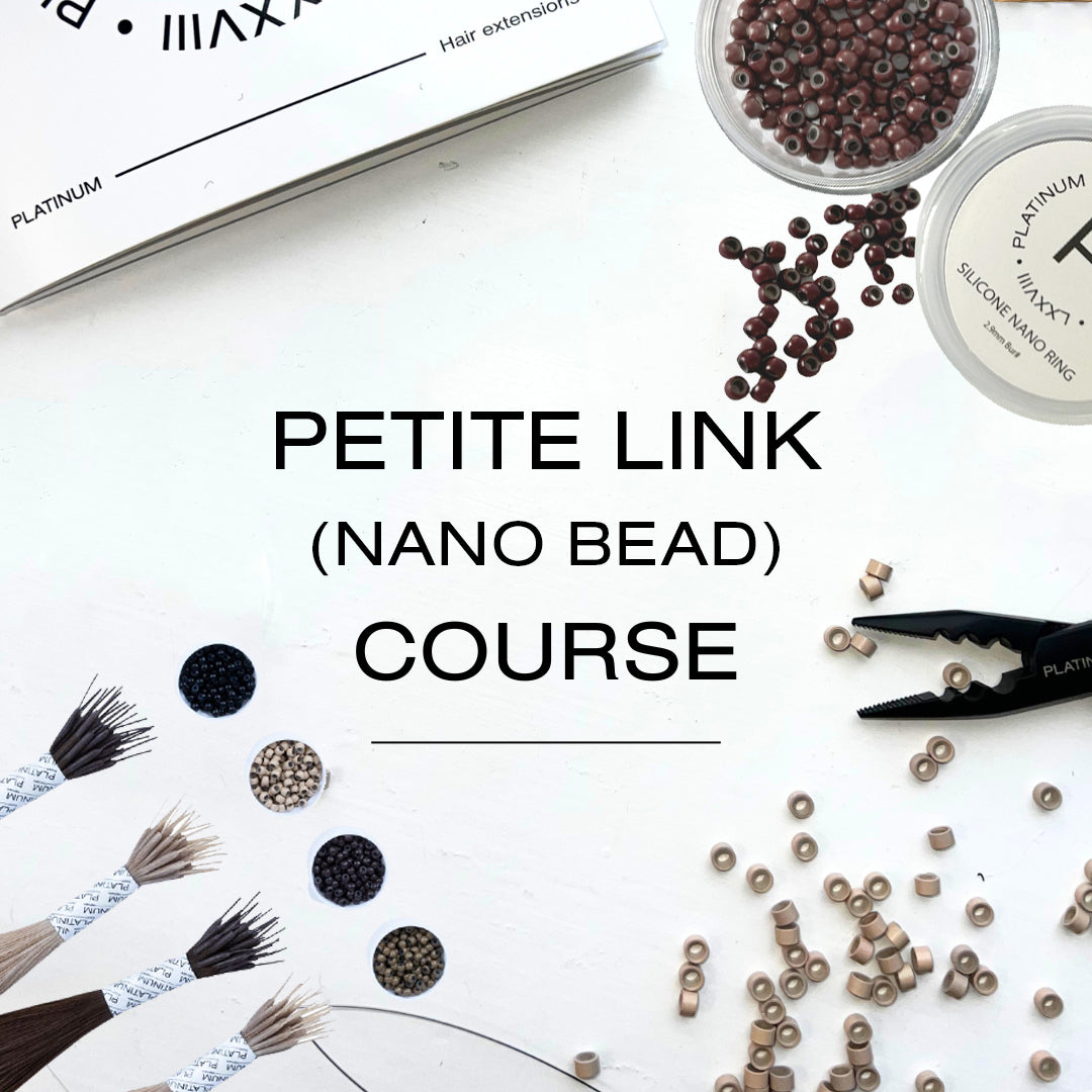 PetiteLinkNanoBeadCourse.jpg